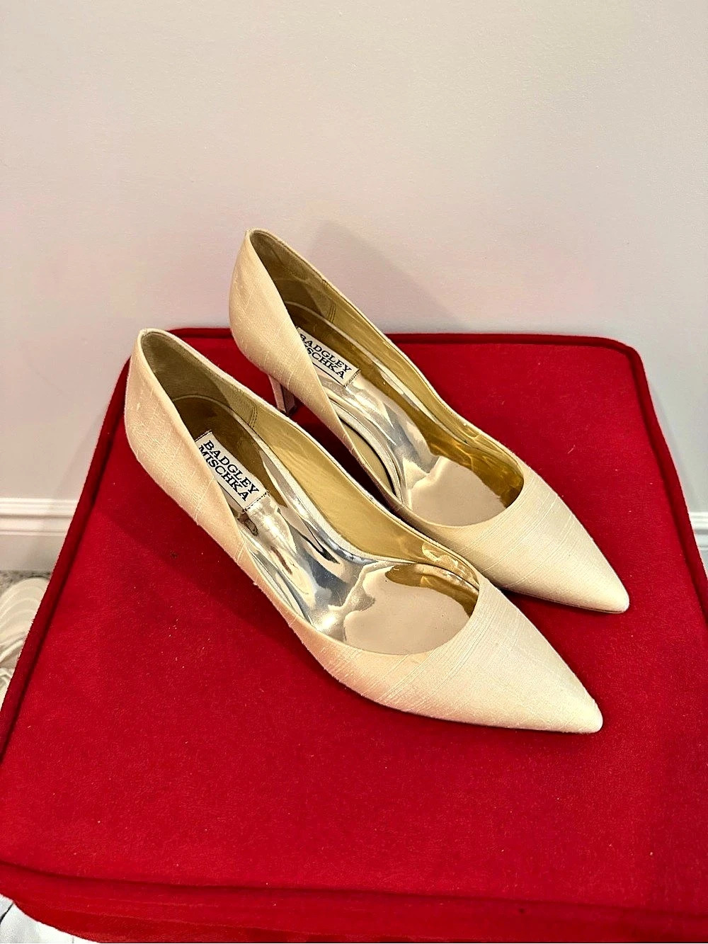 Bradgley Mischka Pointed Toe Pumps in Cream US 9.5